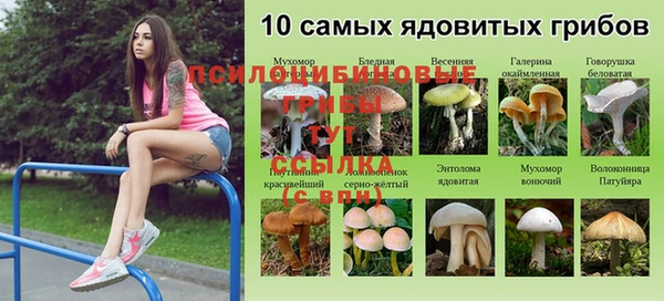 гидропоника Алзамай