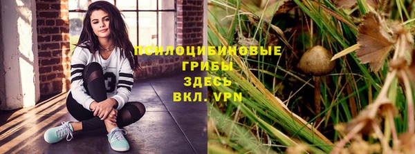прущий лед Алексеевка