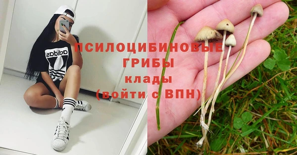 прущий лед Алексеевка