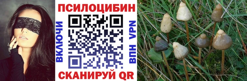наркотики  Туймазы  Галлюциногенные грибы GOLDEN TEACHER 